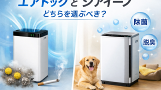 ChatGPT Image 2026年2月26日 12 36